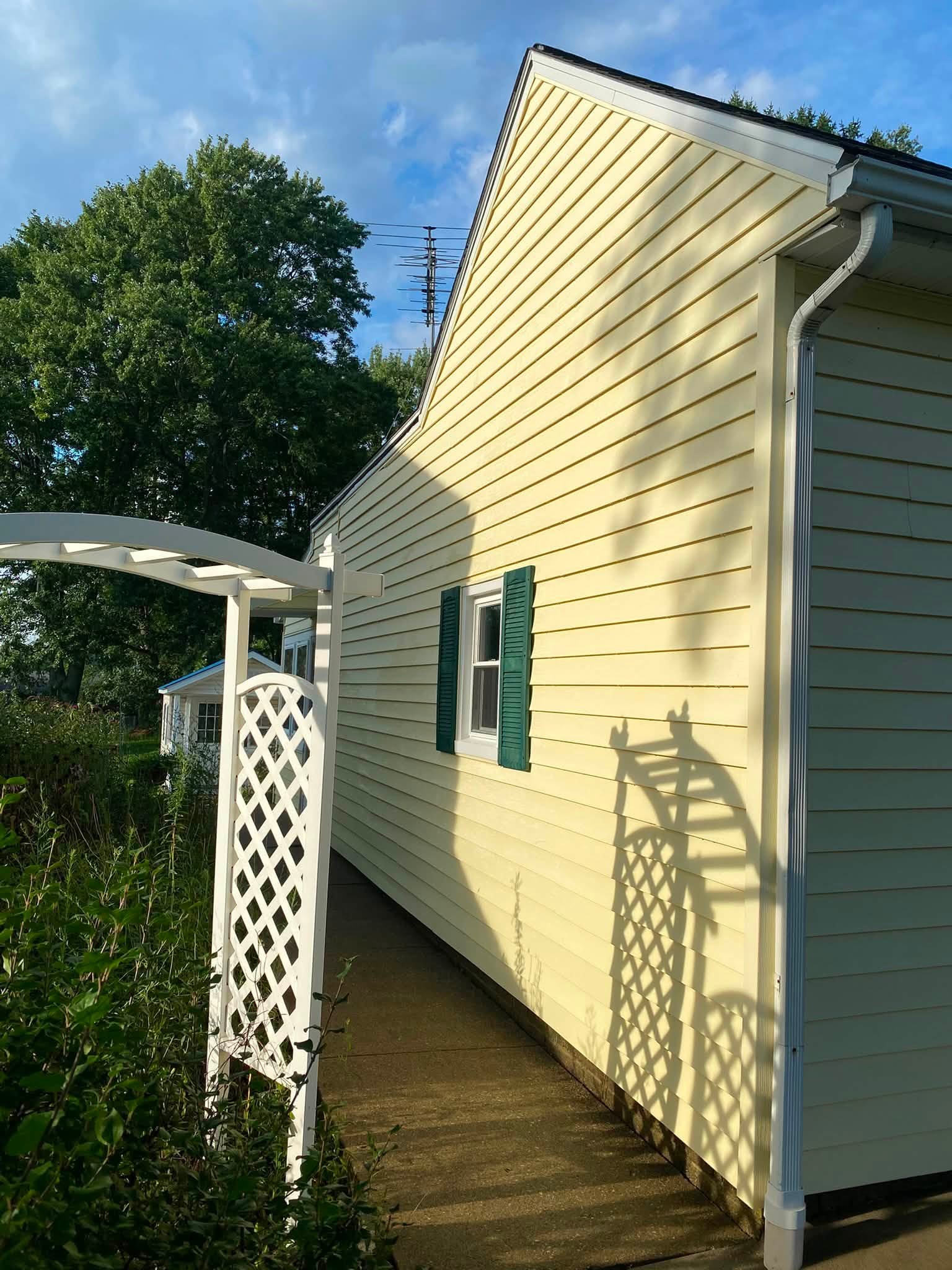 The same yellow siding and arbor after a soft wash, clean and evenly colored